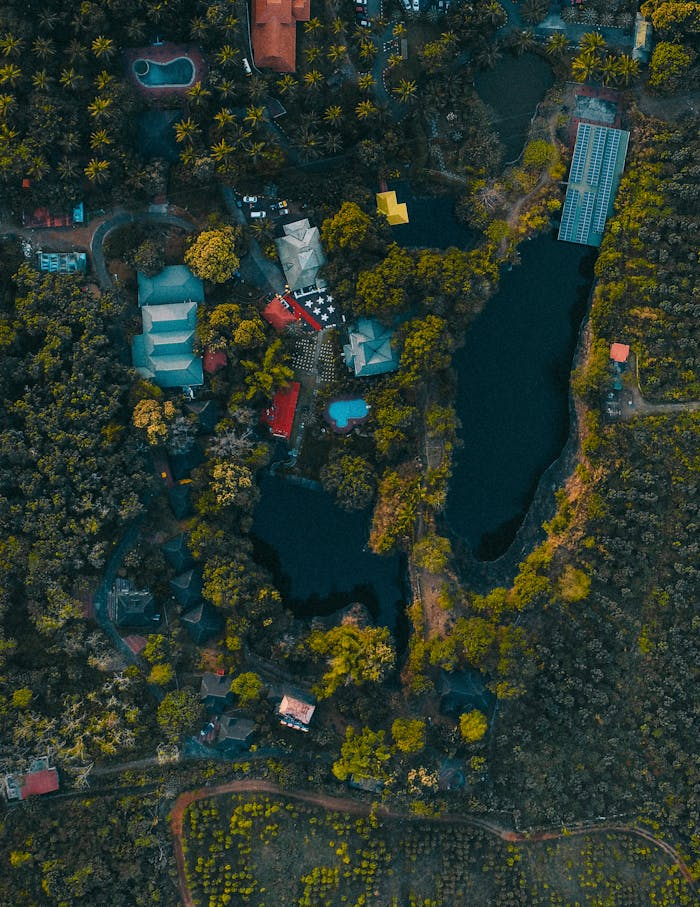 A birds-eye view showcasing vibrant greenery and a serene lake in Cheruthuruthi, Kerala, India.
